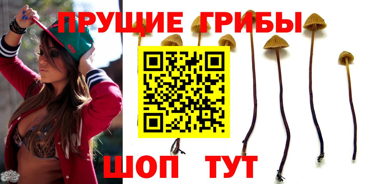 Галлюциногенные грибы мухоморы  Вход с VPN  Советская Гавань 